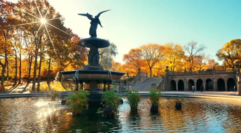 Gossip Girl Tours NYC — guided bus and pedicab tour of iconic filming locations in Manhattan (slide 6)