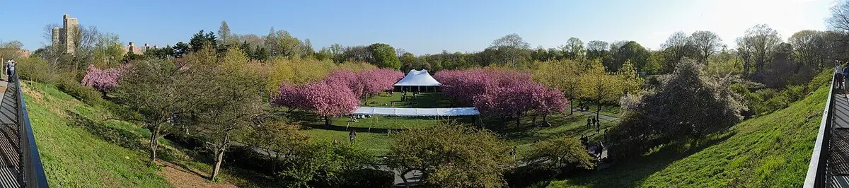 Brooklyn Botanic Garden - Gossip Girl Tours NYC map location